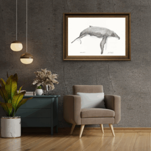 Ballena Jorobada