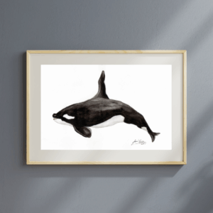 Orca