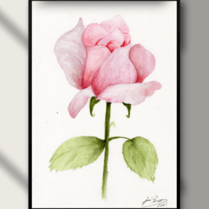 The Rose